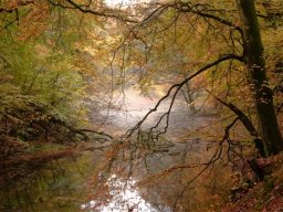 IMGP3874-Moelledammen-i-efteraarslys